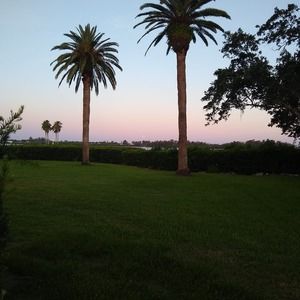 Meet your Posher, Colette